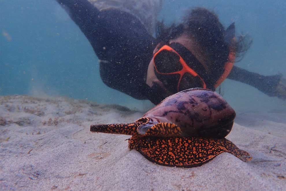 City girl adjusts to life of sea research