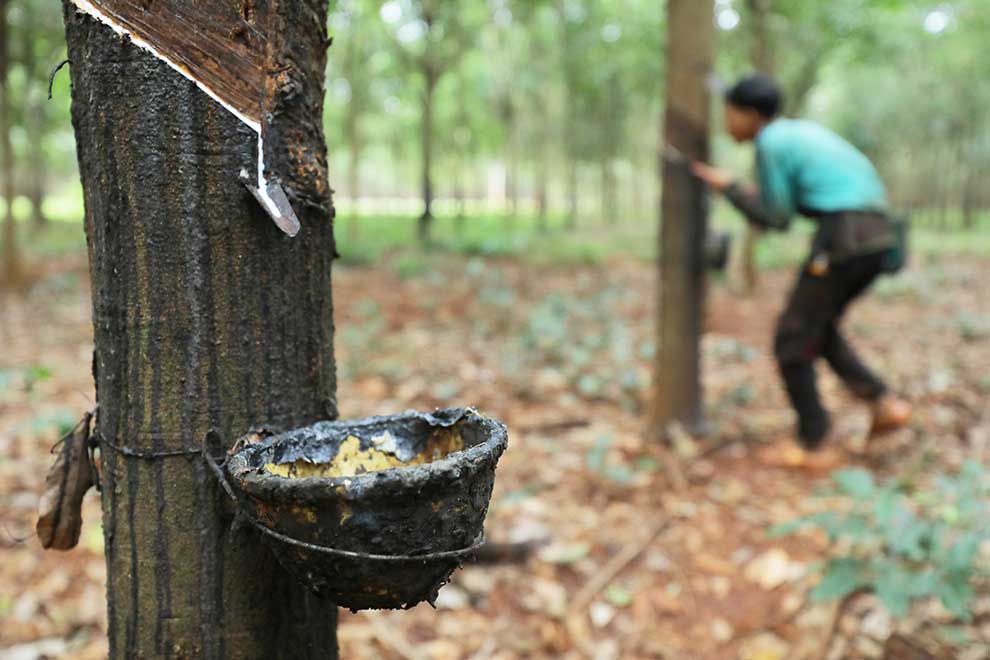 Weak int'l market punctures Jan-Aug rubber exports
