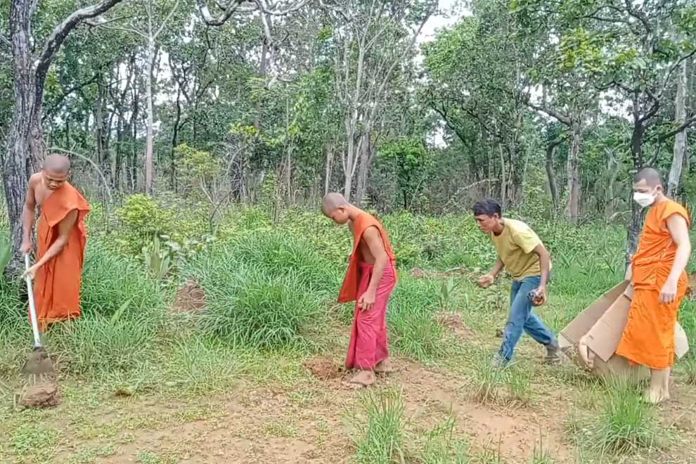 Palm tree park taking root as monks direct planting work