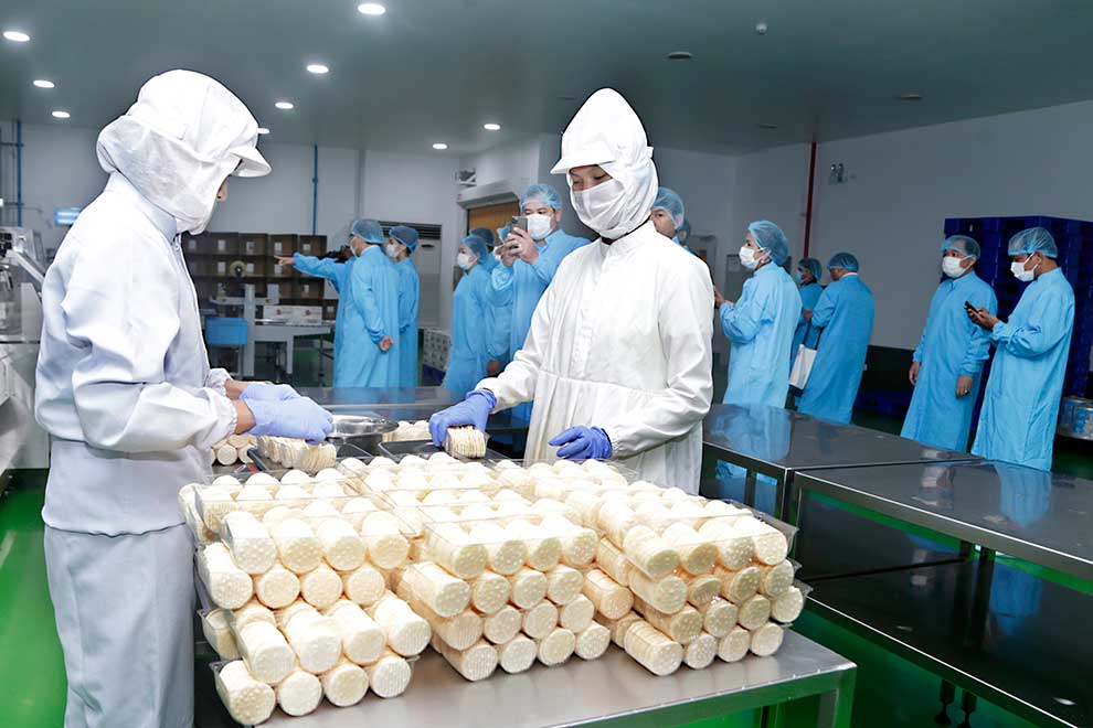 Free upskilling plan to take in 15% more workers than in 2021