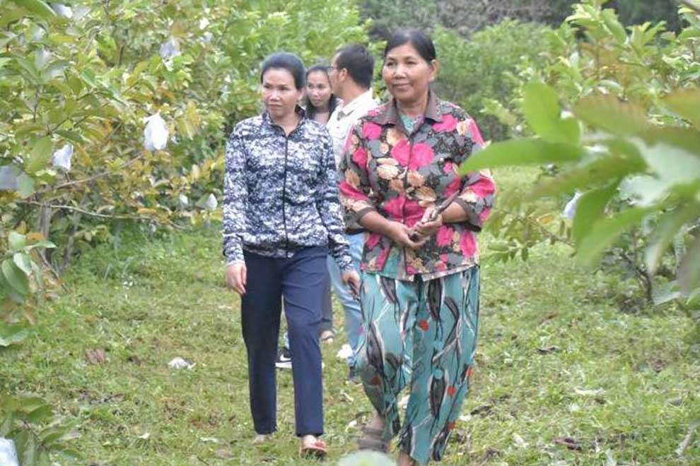 Pailin province to buy crops from local farms