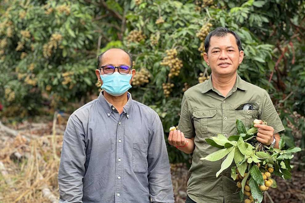 First China longan export 'Nov'