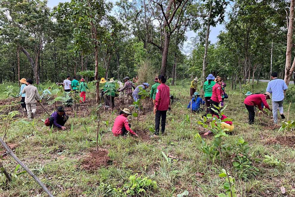 Koh Ker goes green on National Arbour Day