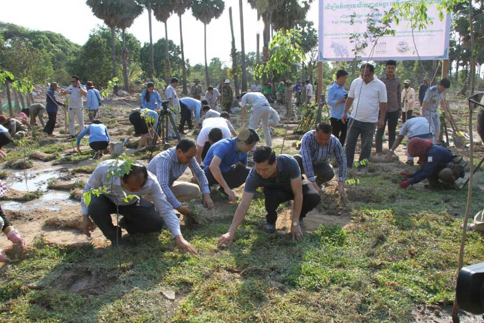 ANA stepping up replanting campaign within Angkor Park