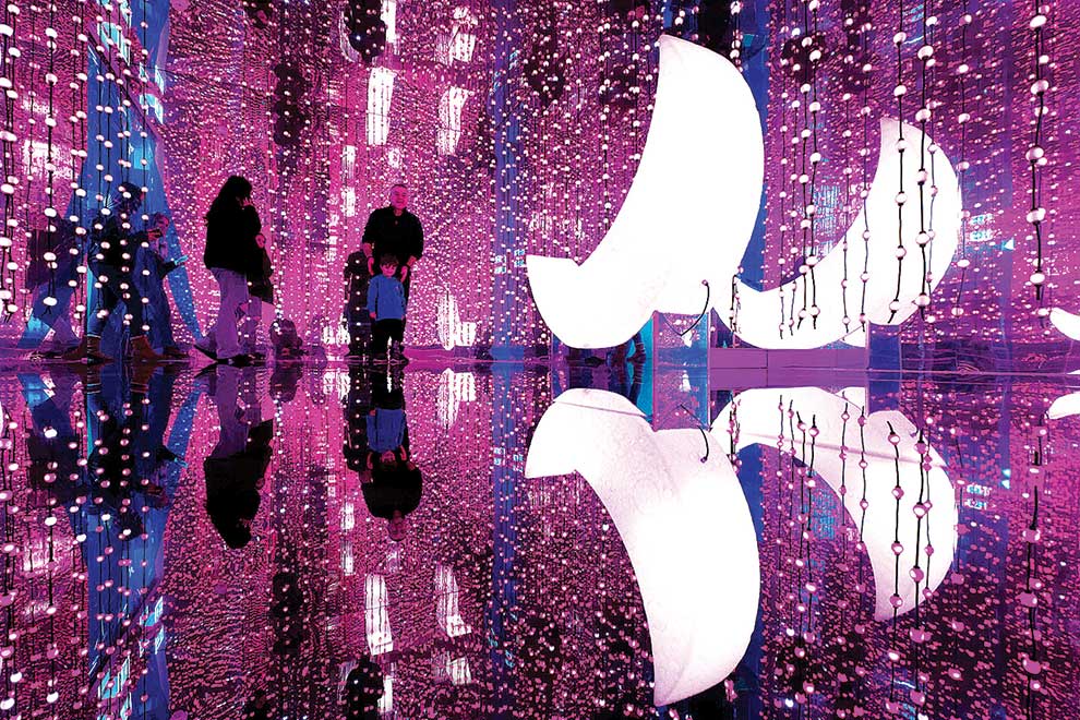 'So cute!': Swedish selfie 'museum' gets super liked