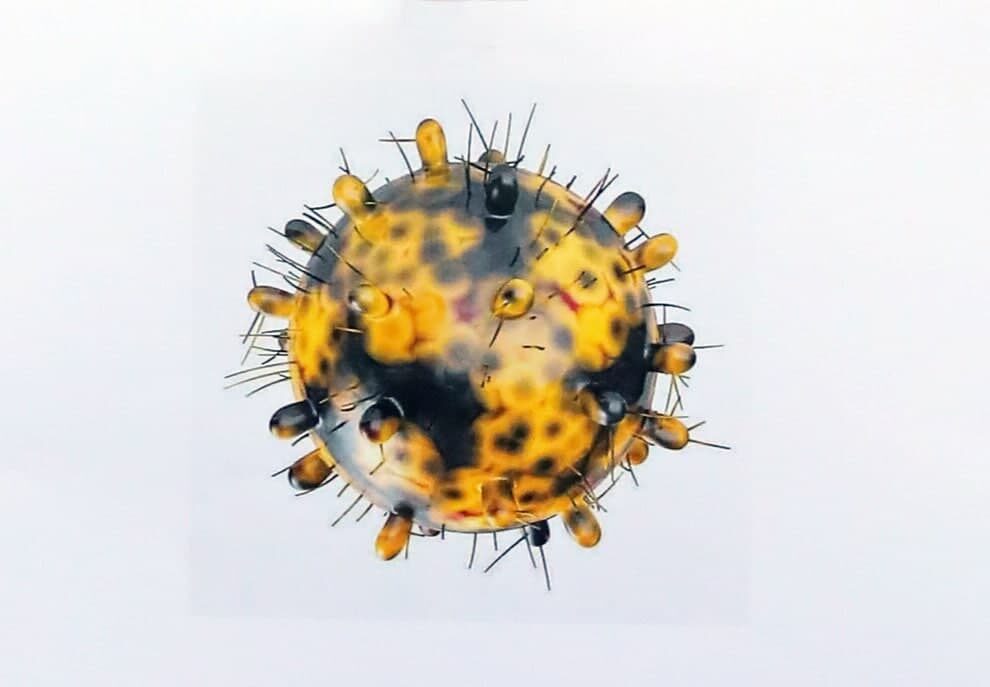 No new Covid cases in Cambodia