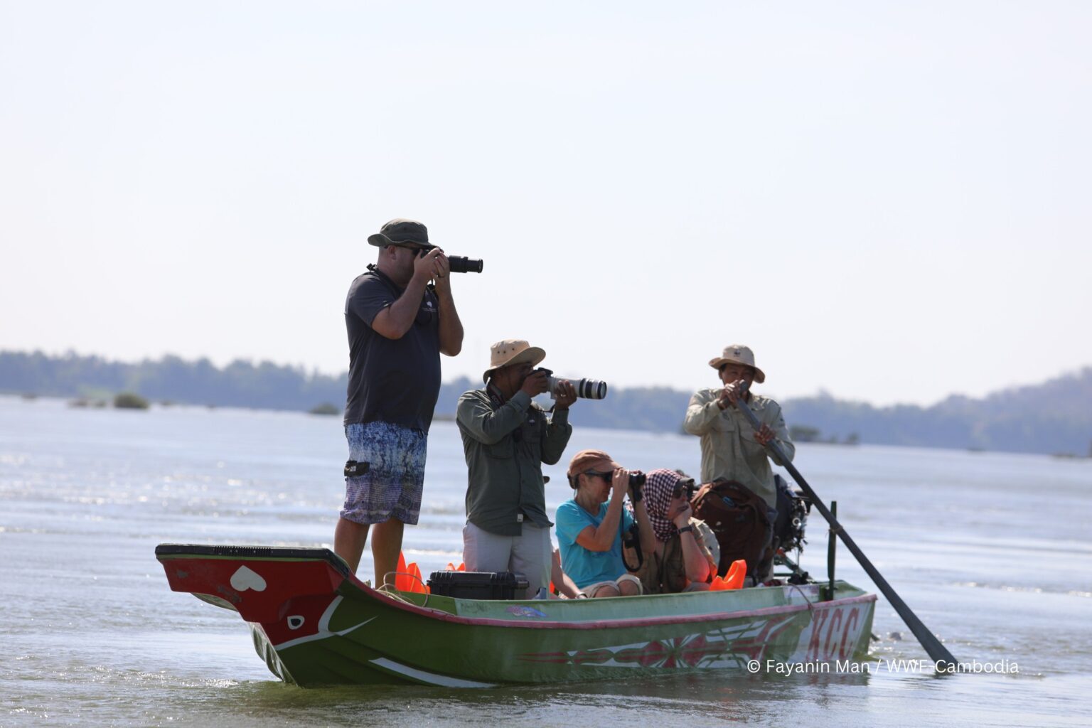 Dolphin population survey completed