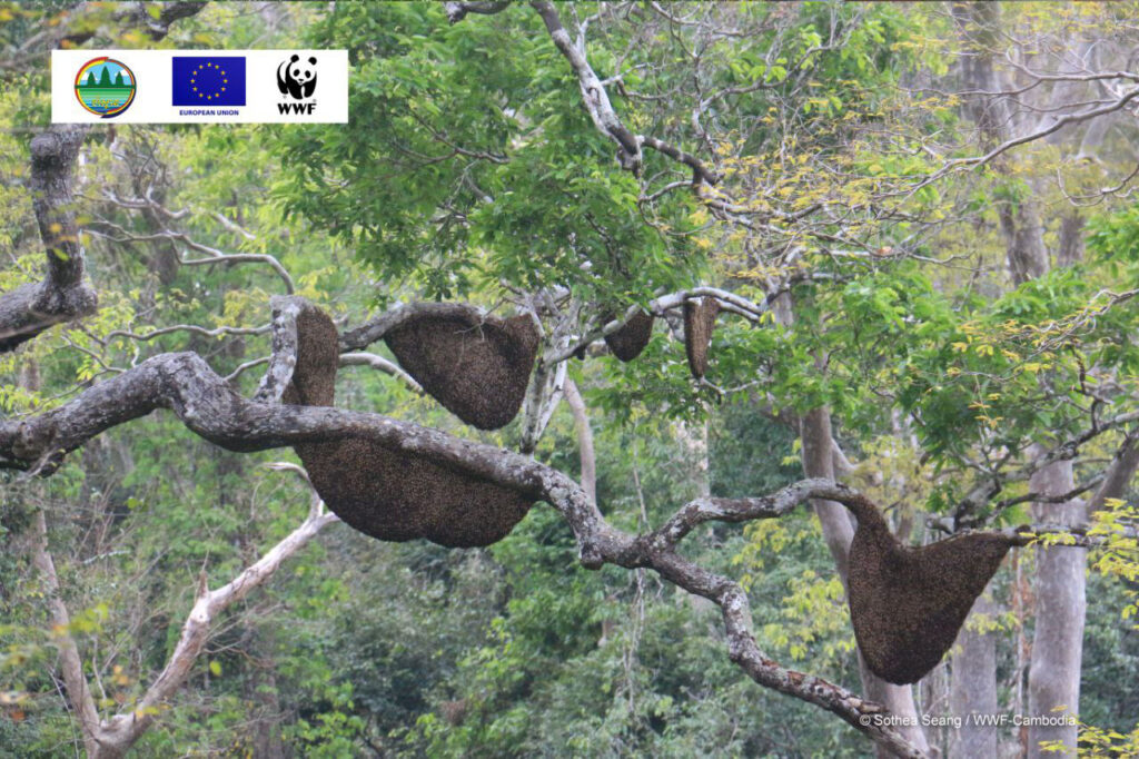 Environment ministry celebrate Mondulkiri projects