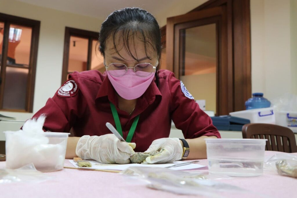 Archaeological restoration museum exhibition set May 18-28