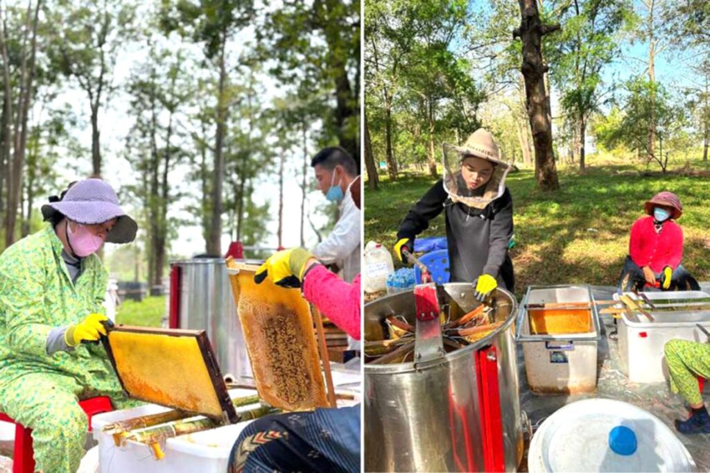 Environment minister promotes beekeeping cause in the Kingdom