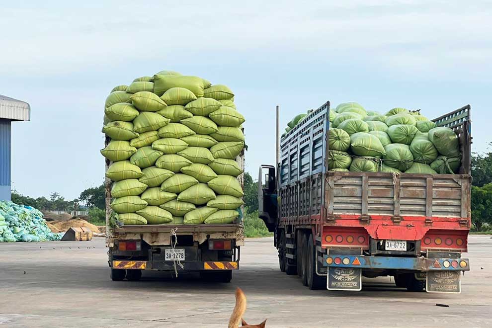 Cambodia-Vietnam 8-month trade rises as deficit narrows