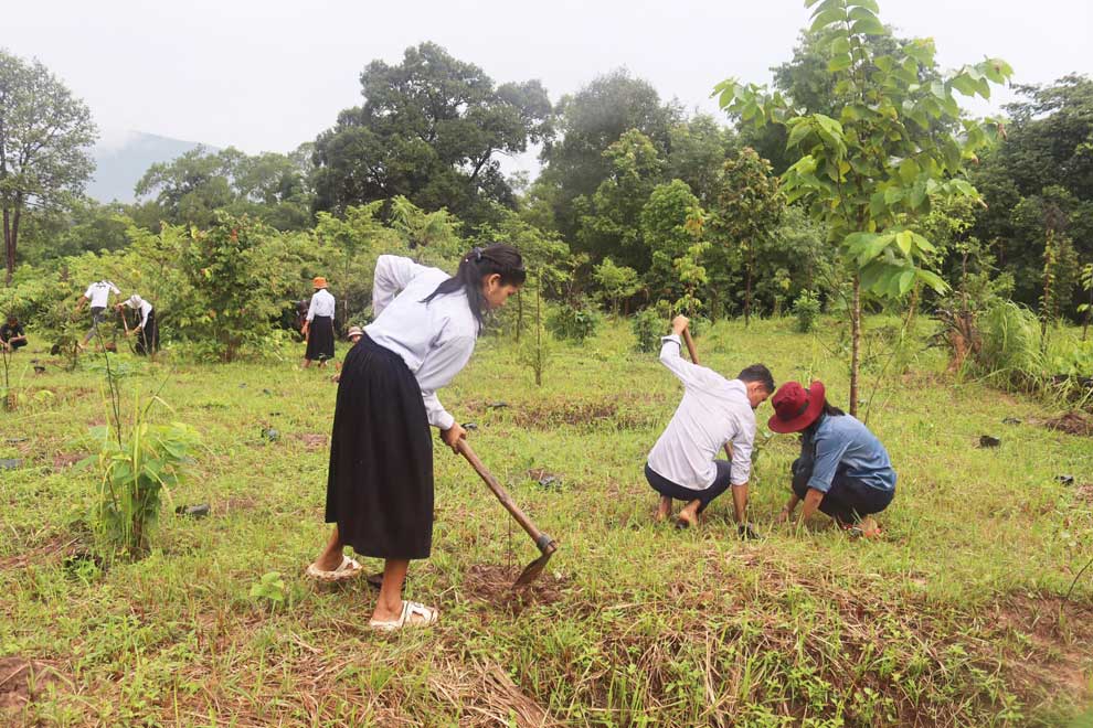 Minister launches million tree reforestation campaign