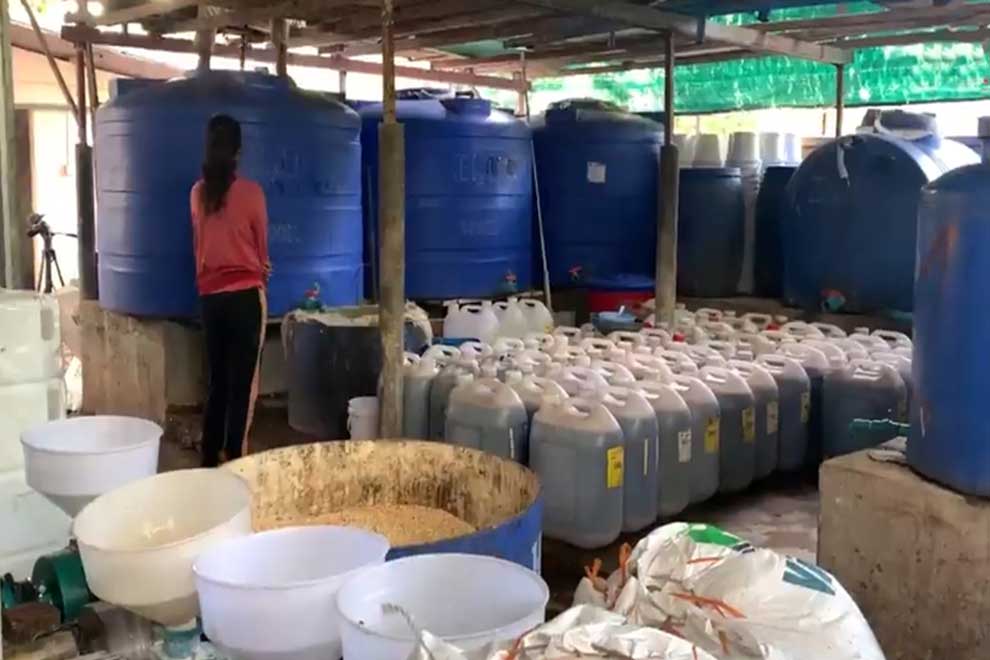 From waste to wealth: Compost mogul turns trash to treasure