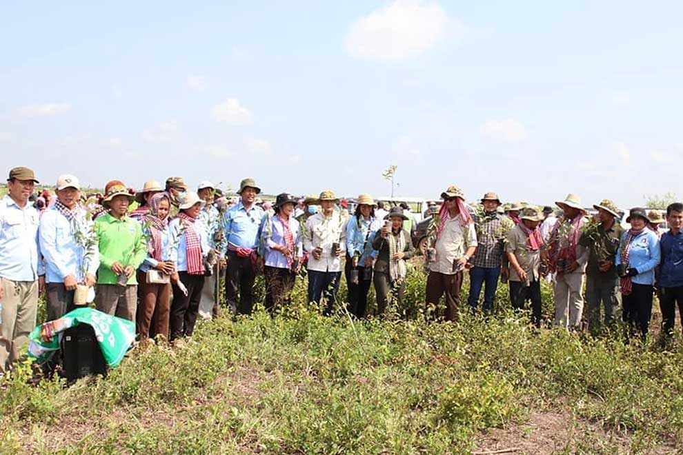 Kampong Chhnang plants over 20