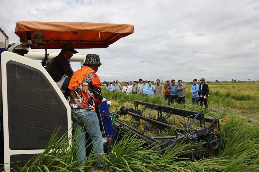 Drone-planted rice fields a hit for ARDB in Prey Veng