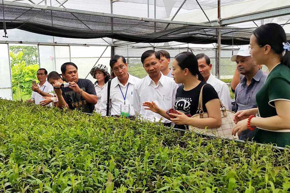 Traditional medicine