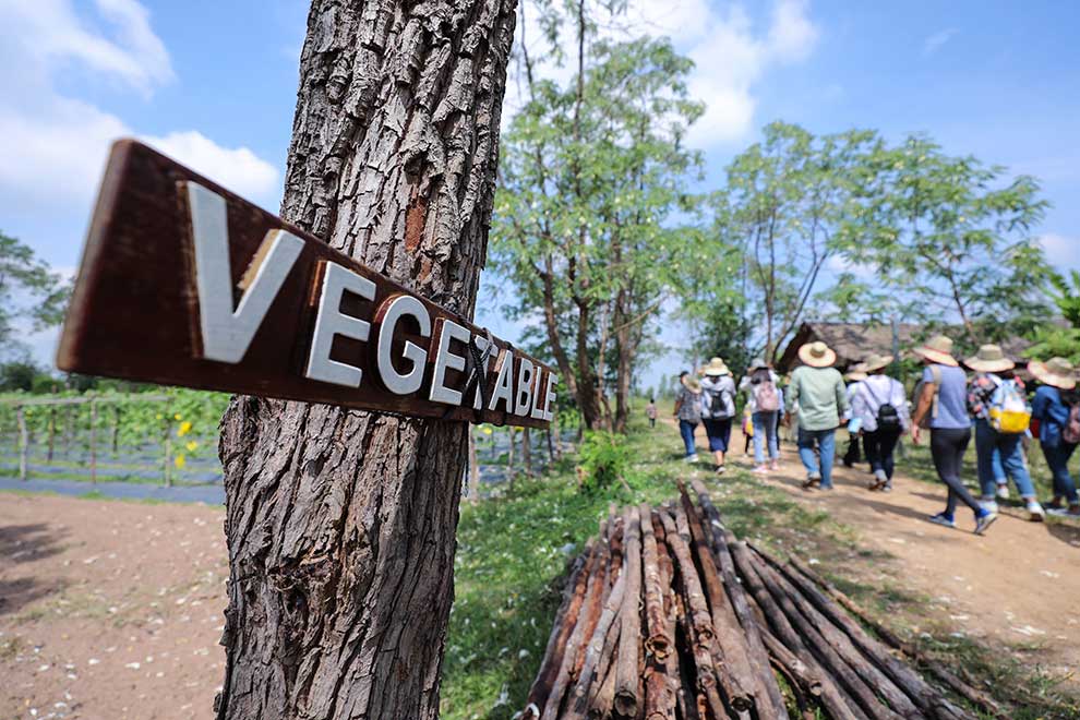 Cash benefits continue to aid suspended tourism workers