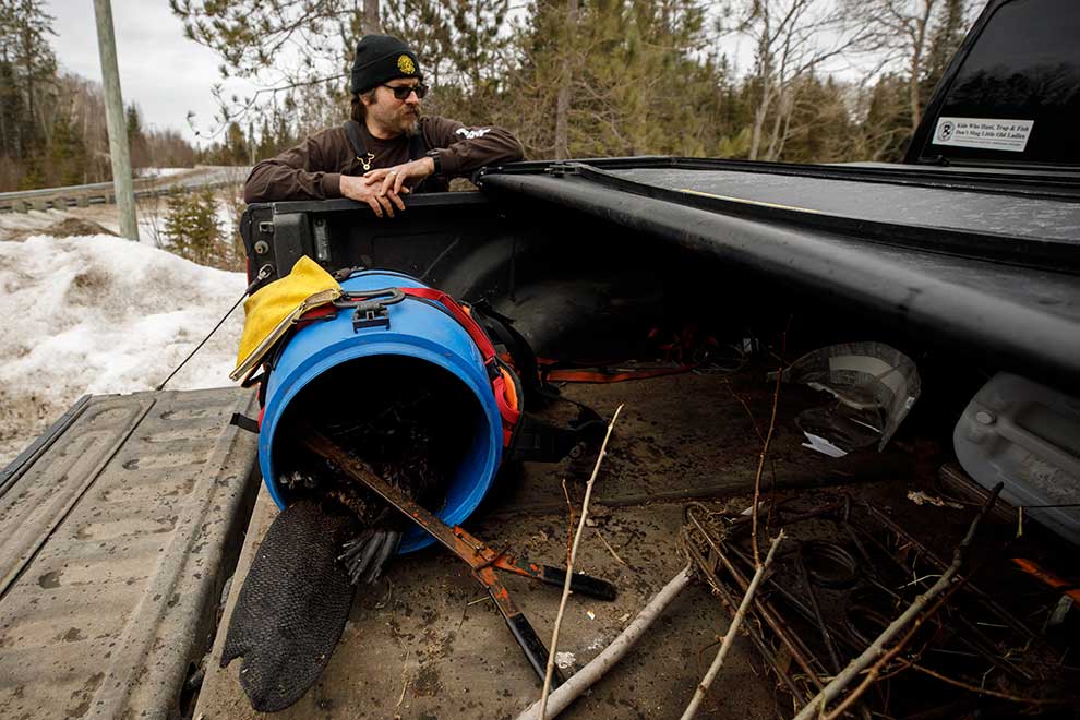 Defiant Canadian trappers wrestle with loss of Russia and Ukraine fur markets