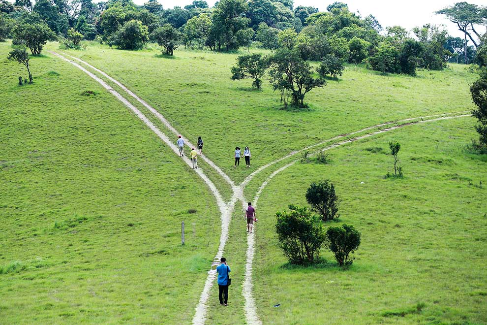 Ministry marks Environment Day with park clean-up effort