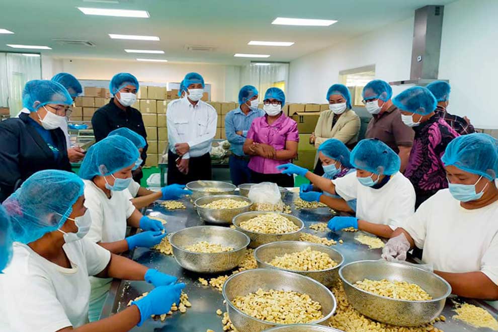 Vietnam processors of cashew urged to broker direct deals